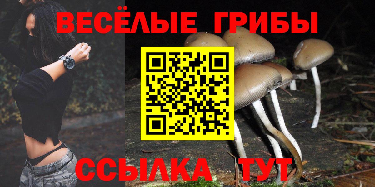 Псилоцибиновые грибы мицелий  Вход с VPN  Псилоцибиновые грибы прущие грибы  Лабинск 